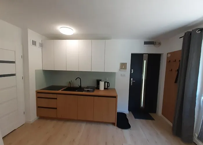 Apartment Komfortowy Dwupoziomowy W Cichej Okolicy *